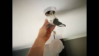 LED Downlight installation and replacement [upl. by Kreg]