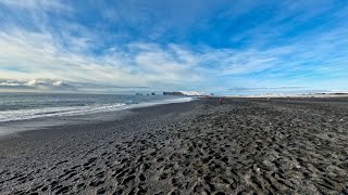 Reykjavik Day Trip  The South Coast [upl. by Nottap194]