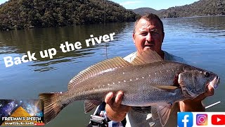 hawkesbury river fishing Back up the river [upl. by Yarased154]