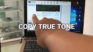 CARA COPY TRUE TONE IPHONE XR [upl. by Laenaj]