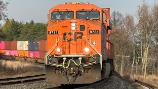 HAPAGLLOYD CP 8781 at Palgrave OCT 30 2024 [upl. by Ymirej707]