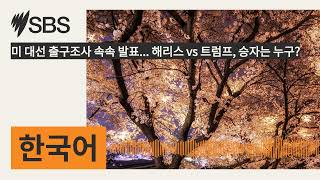 미 대선 출구조사 속속 발표 해리스 vs 트럼프 승자는 누구  SBS Korean  SBS 한국어 프로그램 [upl. by Ntsuj]