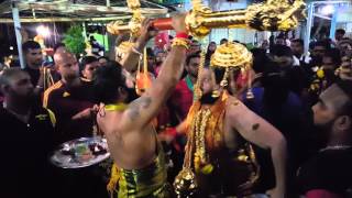 ThaiPusam Batu Caves 2016 [upl. by Ardnnaed143]