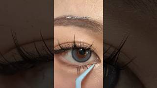 eyelashes eyelashtutorial makeup makeupshorts [upl. by Ytsirhk158]