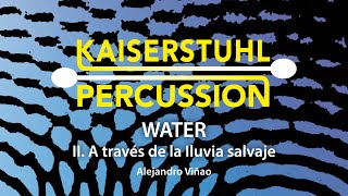 Kaiserstuhl Percussion – WATER II A través de la Iluvia salvaje – Alejandro Vinao [upl. by Beitris]