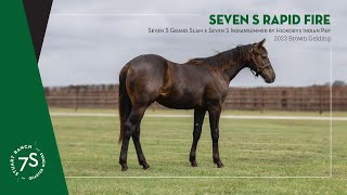 2023 Brown Gelding Seven S Rapid Fire  Hip 03 [upl. by Jillene176]