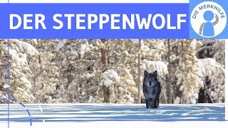 Der Steppenwolf  Einblick amp Einstieg in das Werk  Inhalt  Zusammenfassung  Unterrichtseinstieg [upl. by Georgianne]