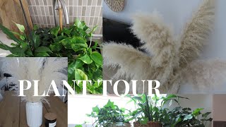 PLANT TOUR 2020  Toutes mes plantes d intérieur [upl. by Elayne]