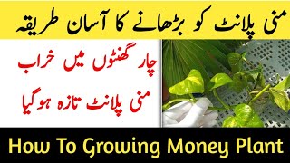 How To Perform Umrah  Umrah Karny Ka Sunnat Tariqa A to Z [upl. by Haas]