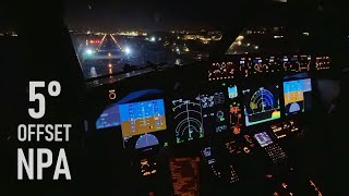 Crying Baby Tries To Mess Up My Landing 😂 NonPrecision 5 Deg Offset Night Approach [upl. by Ahsaya]