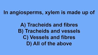 In angiosperms xylem is made up of [upl. by Leinad]