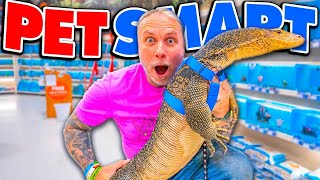 ¡Llevo a Mi Lagarto Gigante a Petsmart [upl. by Katzman949]