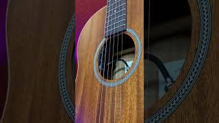 Crafter Grand Mini All Mahogany Acoustic Guitar [upl. by Pelletier]