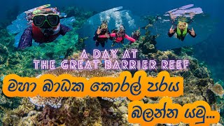 Travelling to Cairns  vlog 4  මහා බාධක කොරල් පරය බලන්න යමු greatbarrierreef [upl. by Cynar]