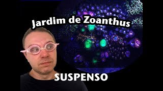 Jardim de Zoanthus suspenso [upl. by Susejedairam]