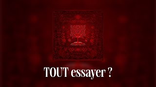 Dadju amp Tayc  TOUT essayer  Lyrics video [upl. by Arotak]