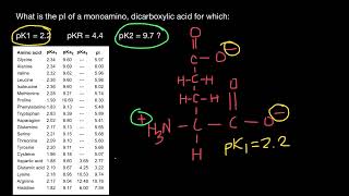 How to calculate Isoelectric point pI of Amino acids [upl. by Sllew]