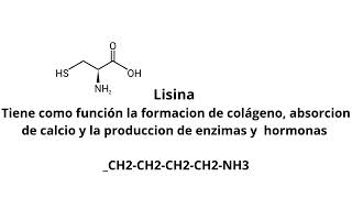 La importancia y los usos de los aminoácidos esenciales y no esenciales 2 [upl. by Paten]