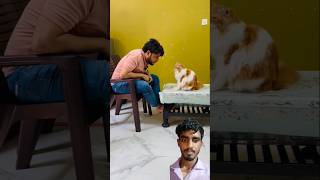 billu ke ghr mai aag lgane ki koshis😃😅😂 catcomedy cat viralcat catvideo [upl. by Aiveneg547]