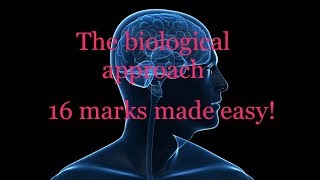 Biological approach  16 marks made easy [upl. by Nils636]