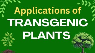 Applications of transgenic plants  Plant biotechnology  GM crops applications [upl. by Ganny157]