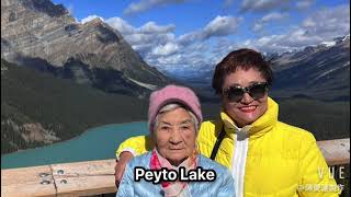 Icefield Parkway  Bow Lake Peyto Lake and Waterfowl Lake [upl. by Vincenty]