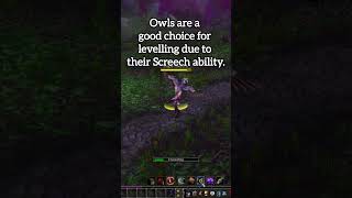 My best moment in WoW Classic so far worldofwarcraft wowhunter wowclassic [upl. by Liew941]