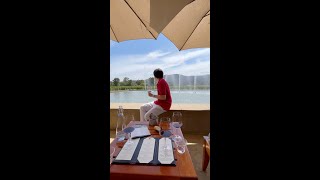 Red Wine Shopping in Napa Valley 나파밸리 와이너리 [upl. by Zusman307]