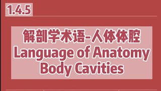 【中英双语国际课人体解剖生理学】解剖学术语 人体体腔  Anatomical Terms Body Cavities Explained [upl. by Elane]