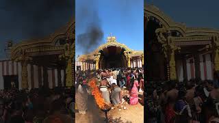 Nallur Kandaswamy Temple Festival 2024  nallurtemple nallurfestival [upl. by Esyle]