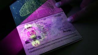 ¿Qué es el PASAPORTE BIOMÉTRICO [upl. by Brice]