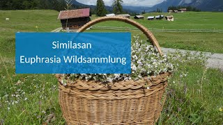 Similasan Euphrasia Wildsammlung [upl. by Ramalahs36]