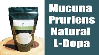 Mucuna Pruriens Review and Experience [upl. by Anetsirk]