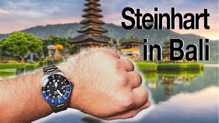 Travelling 1 month in Bali  Steinhart Ocean GMT 500m Premium  Steinhart Rolex Batman homage [upl. by Hitt]