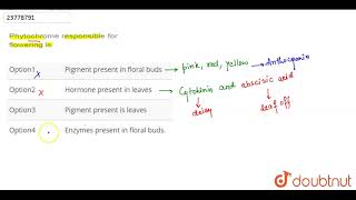Phytochrome responsible for flowering is [upl. by Kaleb657]