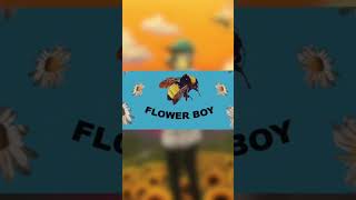 Flower boy 🌻 viralvideo tylerthecreator flowerboy flowers fypage fyp [upl. by Allehc362]