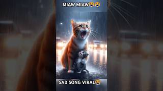 miaw miaw miaw song sad  Cat sad story 😭😭cat catvideos meow story catlover [upl. by Conias763]