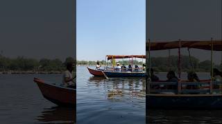 River boat viralvideos automobile travel love riverboat treanding train views water relax [upl. by Salisbarry]