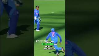 Ravindra Jadeja A Masterclass in Fielding Brilliance 🏏✨ shorts trending viralvideo cricket [upl. by Vita]