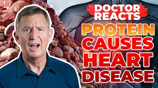 NEW STUDY Shows Protein Causes HEART DISEASE  Doctor Reacts [upl. by Bitthia]