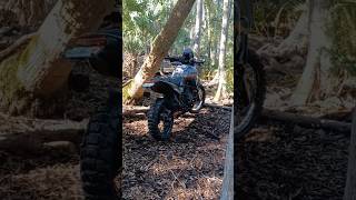 trails yamaha tenere700 adventure adventurebike woods ktm honda motorcycle offroad trail [upl. by Ylatfen]