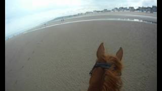 Galop sur la plage 2 [upl. by Nalym]