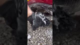 How I Clean My Cars Exhaust Tips cardetailing [upl. by Acessej]