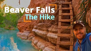 Full HIKE to BEAVER FALLS  The best daytrip in Havasupai [upl. by Fred301]