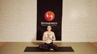 YOGA  Easy Flow mit Regina Weninger 60 min [upl. by Sonitnatsok]