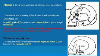 7 Pterion د  احمد مصطفى كمال [upl. by Atilrep]