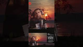 Kareta złota 3  Solo accordionmusic akordeon viral accordion polish shorts folkmusic [upl. by Elden]