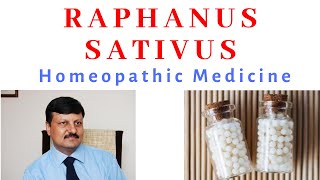 Raphanus Sativus  Homeopathic Medicine  Dr Ketan Shah  Hindi [upl. by Aneleasor360]