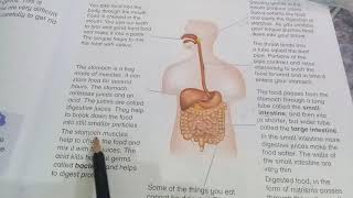 New Oxford Primary Science Level 4 Unit  3 Digestion [upl. by Garwin]