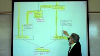 CARDIAC PHYSIOLOGY PART 6 by Professor Finkwmv [upl. by Ntsuj]